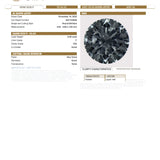 14K White Gold Diamond Stud Earrings