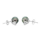 14K WHITE GOLD BLACK TAHITIAN PEARL STUD EARRINGS